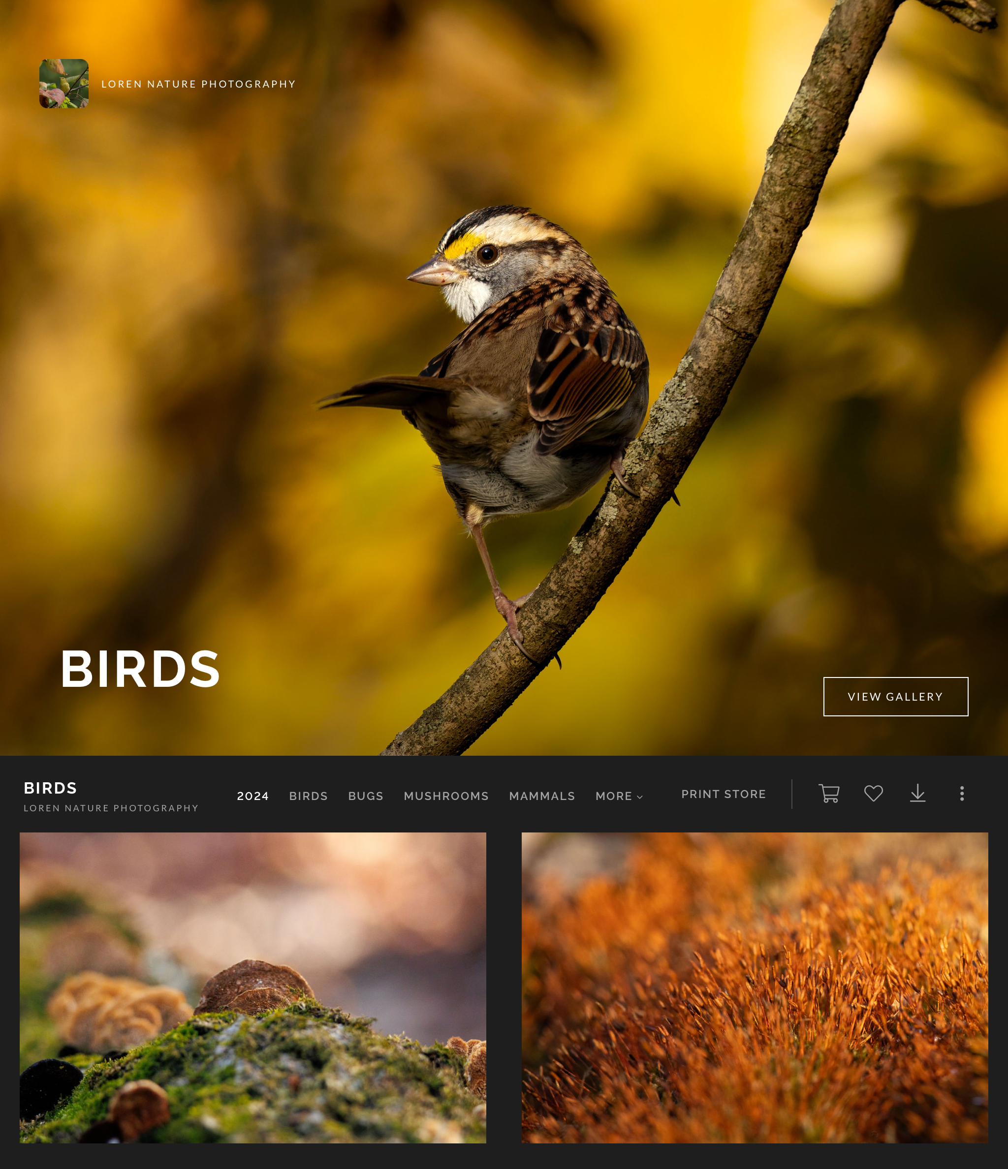 screenshot of Loren Nature Photography